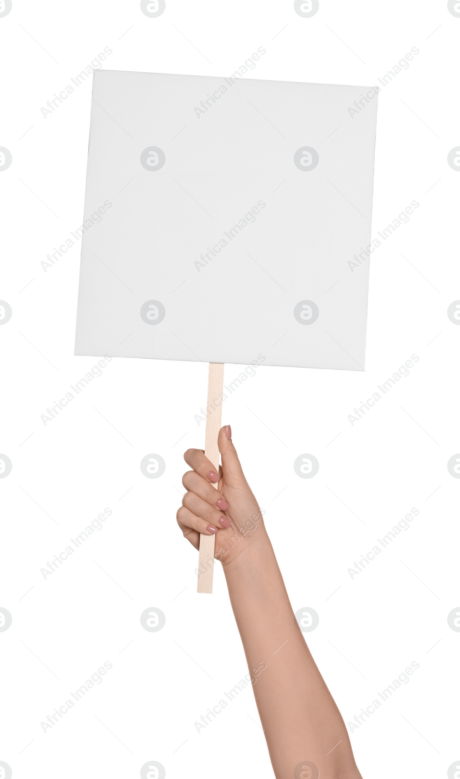 Photo of Woman holding blank protest sign on white background, closeup