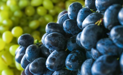 Photo of Fresh ripe juicy grapes as background, closeup view