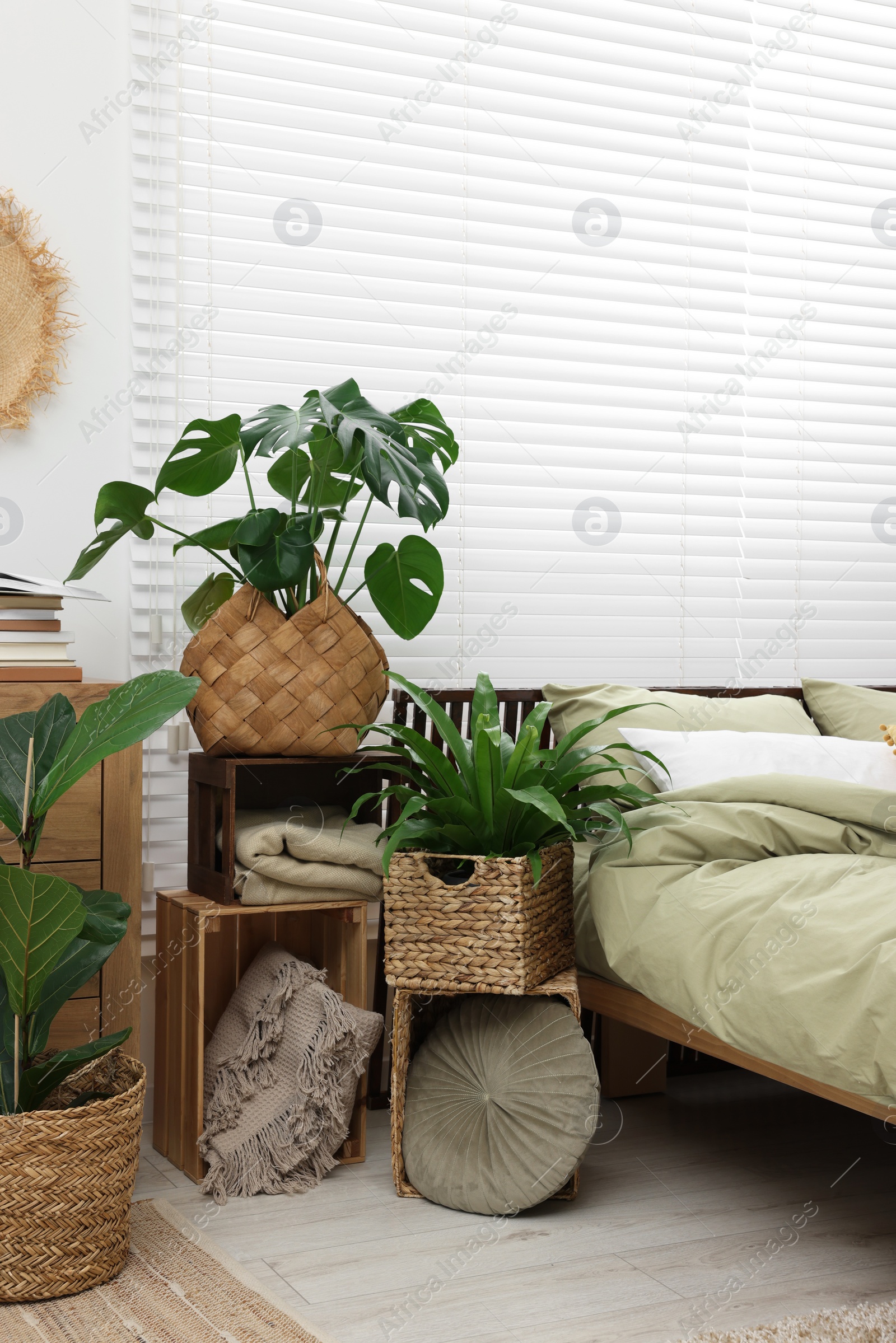 Photo of Beautiful green houseplants and comfortable bed in bedroom