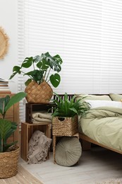 Beautiful green houseplants and comfortable bed in bedroom