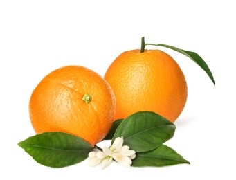 Image of Tasty fresh ripe oranges on white background