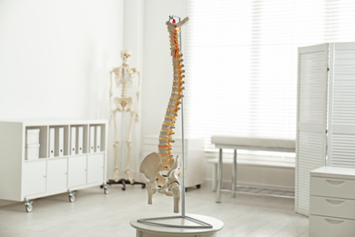 Photo of Human spine model on table in orthopedist's office