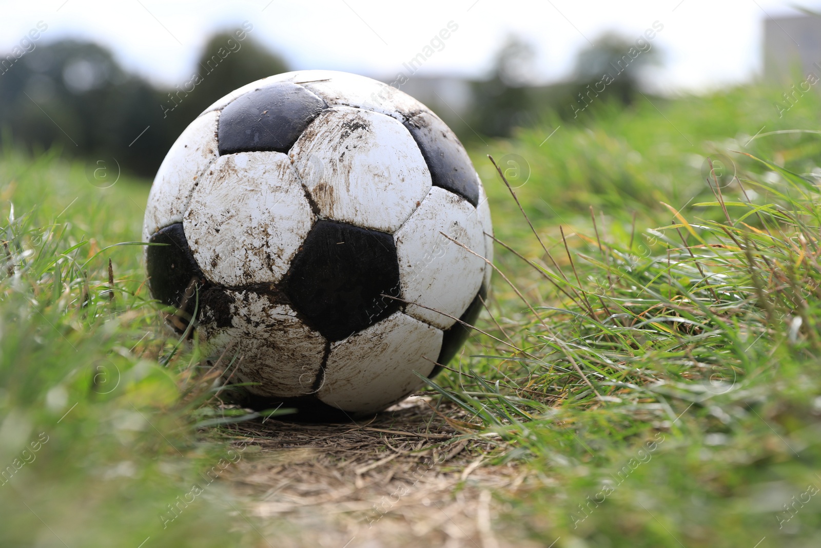 Photo of Dirty soccer ball on green grass outdoors, space for text