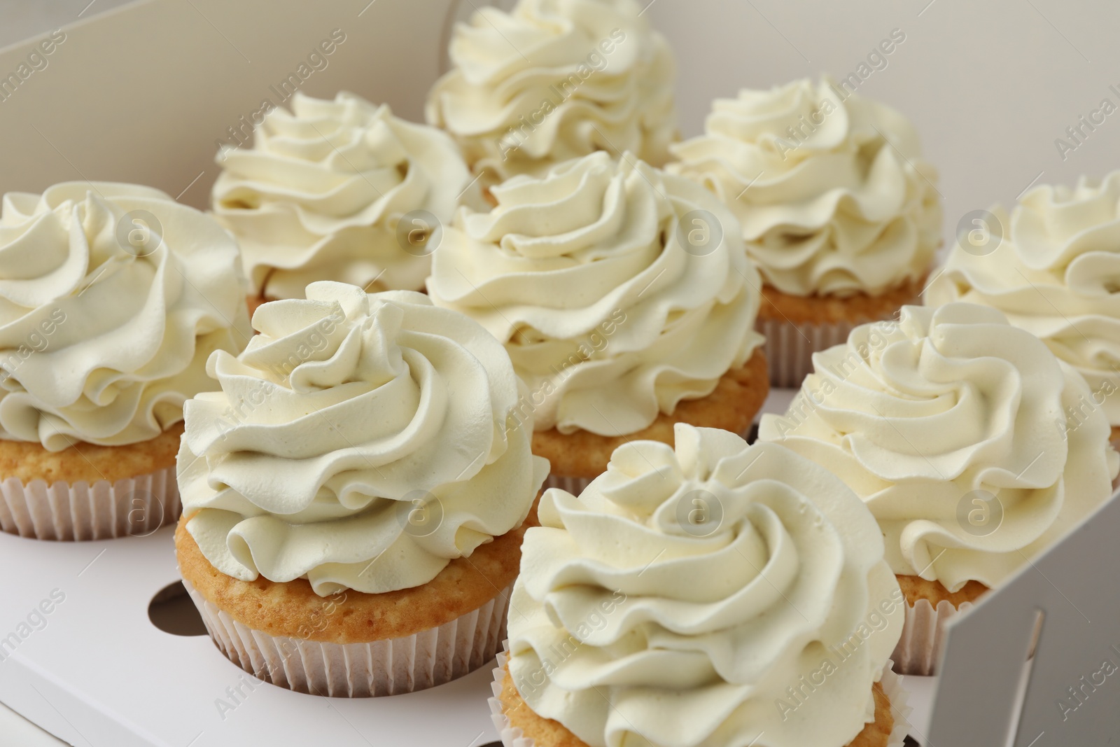 Photo of Tasty cupcakes with vanilla cream in box, closeup