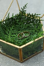 Photo of Beautiful wedding rings in glass box on grey surface outdoors