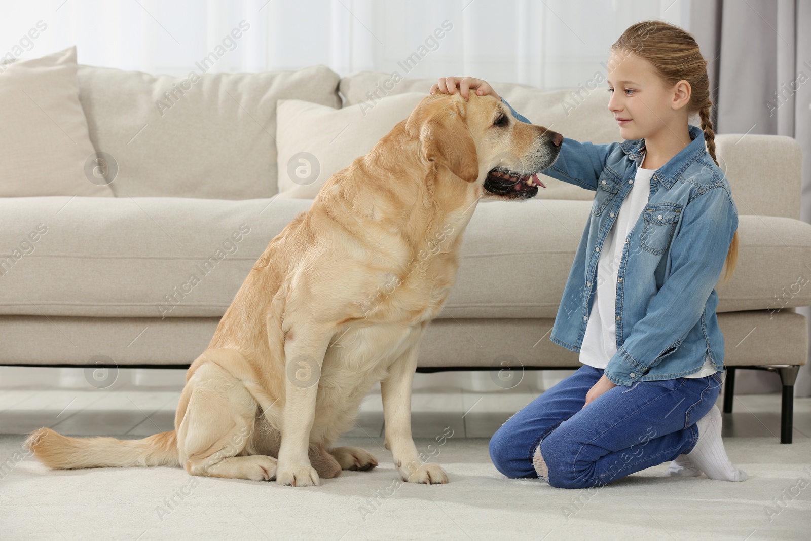 Photo of Cute child with her Labrador Retriever on floor at home. Adorable pet