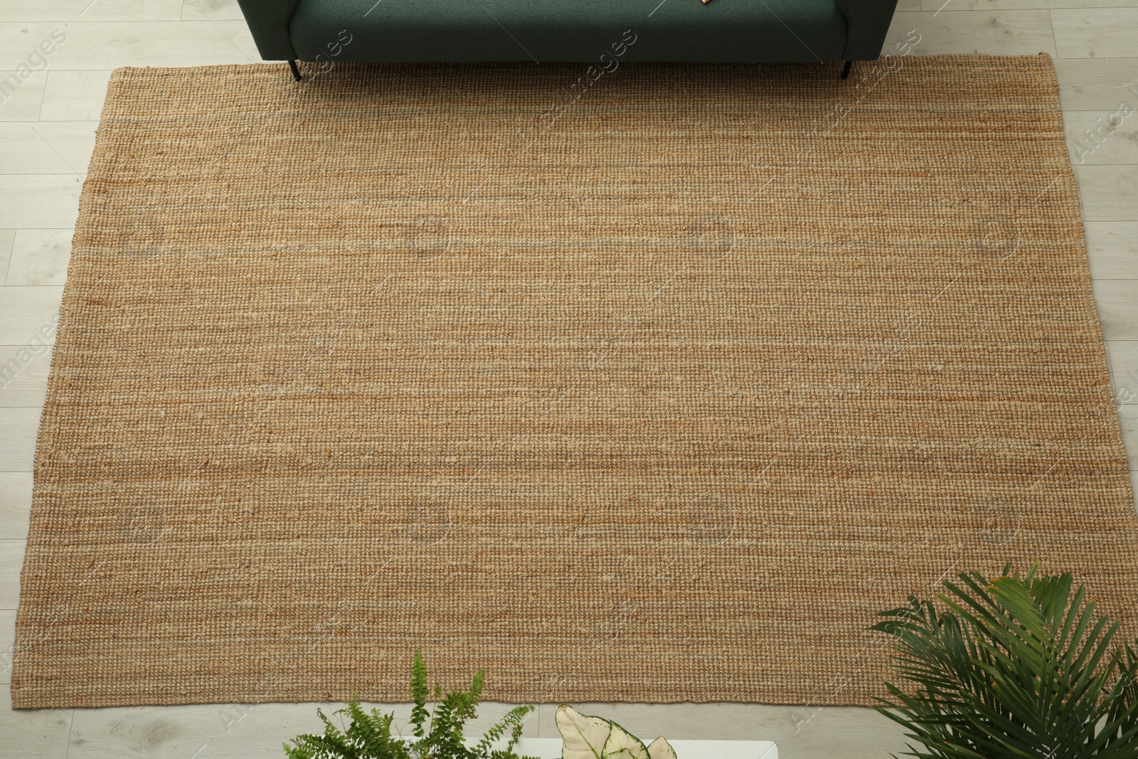 Photo of Beige carpet on wooden floor in living room, above view