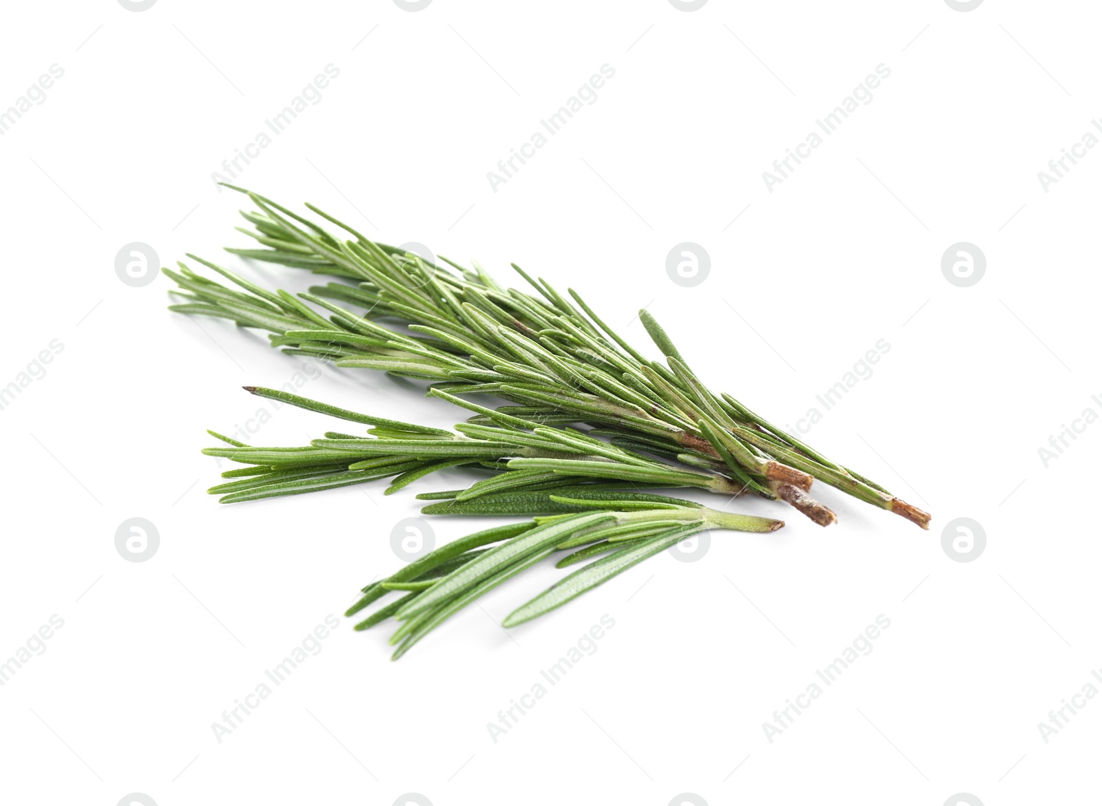 Photo of Fresh green rosemary isolated on white. Aromatic herb