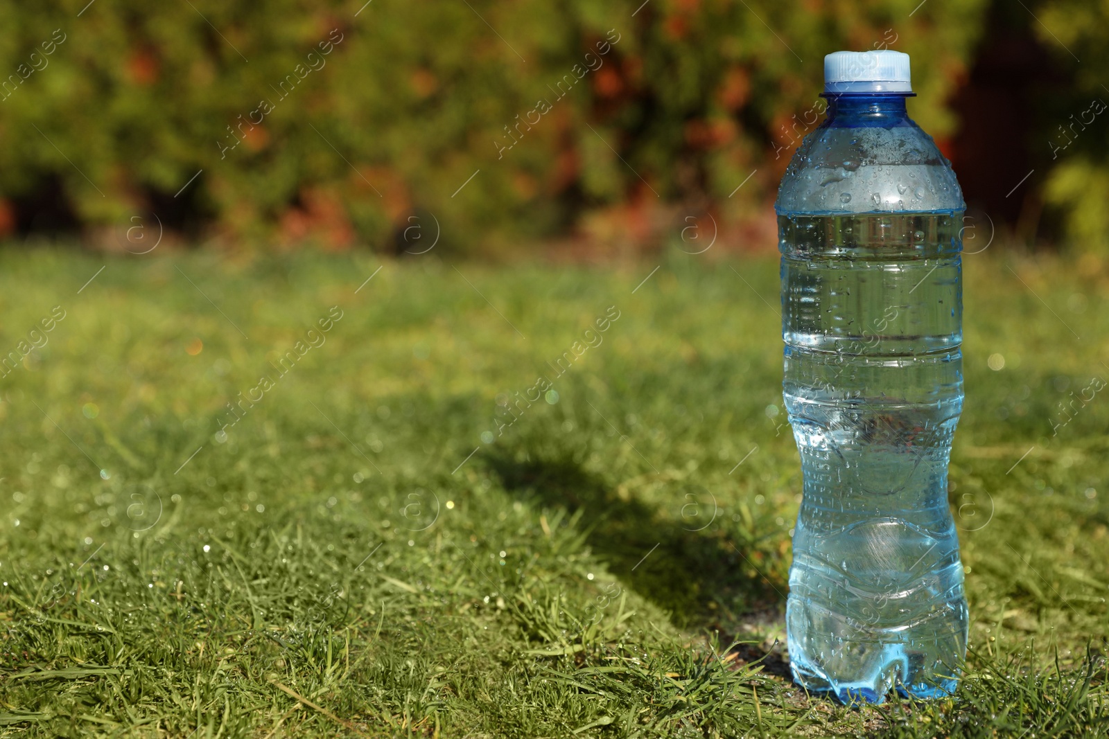 Photo of Plastic bottle of water on green grass outdoors. Space for text