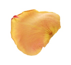 Photo of Beautiful yellow rose petal isolated on white