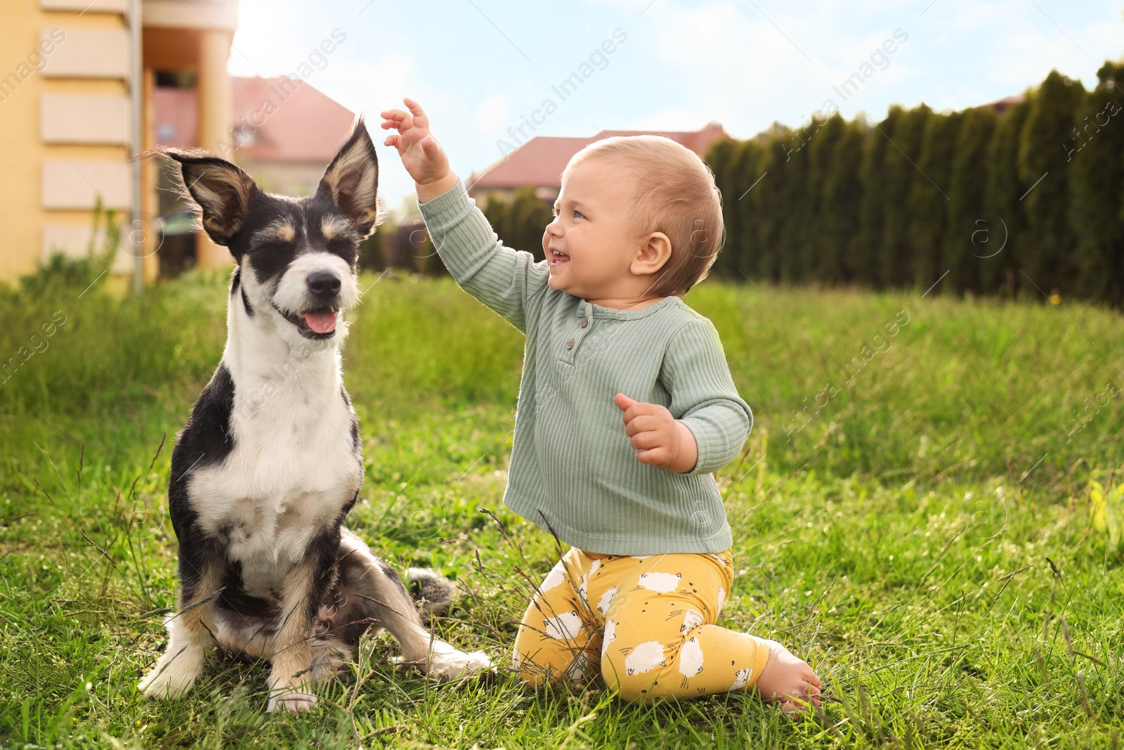 Photo of Adorable baby and furry little dog on green grass outdoors