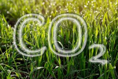 Concept of clear air. CO2 inscription and green grass covered with dew