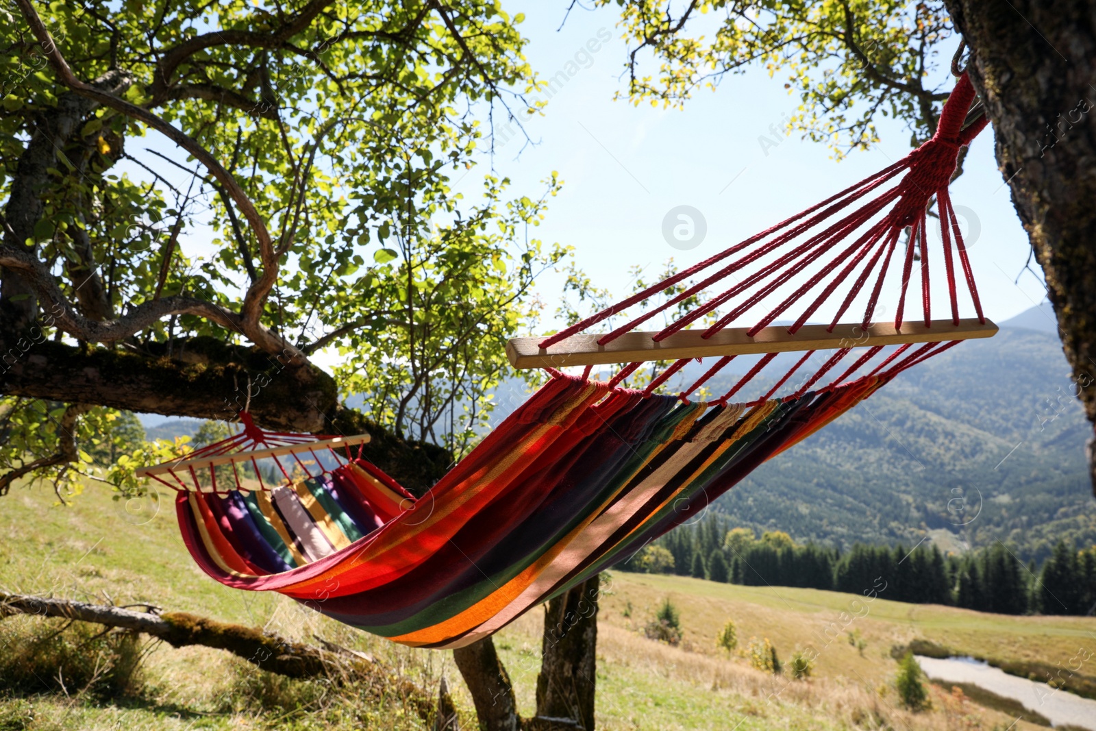 Photo of Empty comfortable hammock in mountains on sunny day