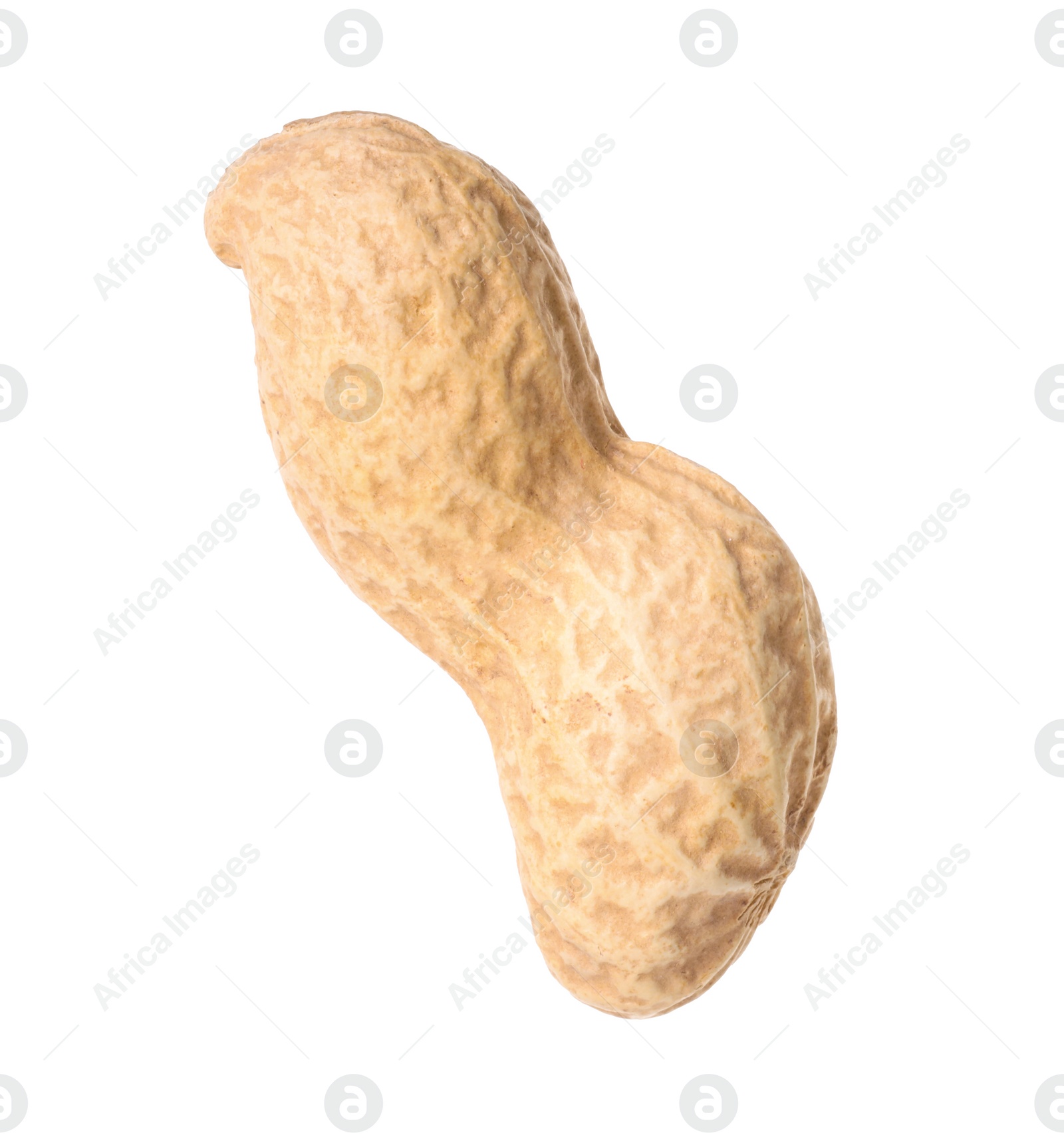 Photo of One fresh unpeeled peanut isolated on white