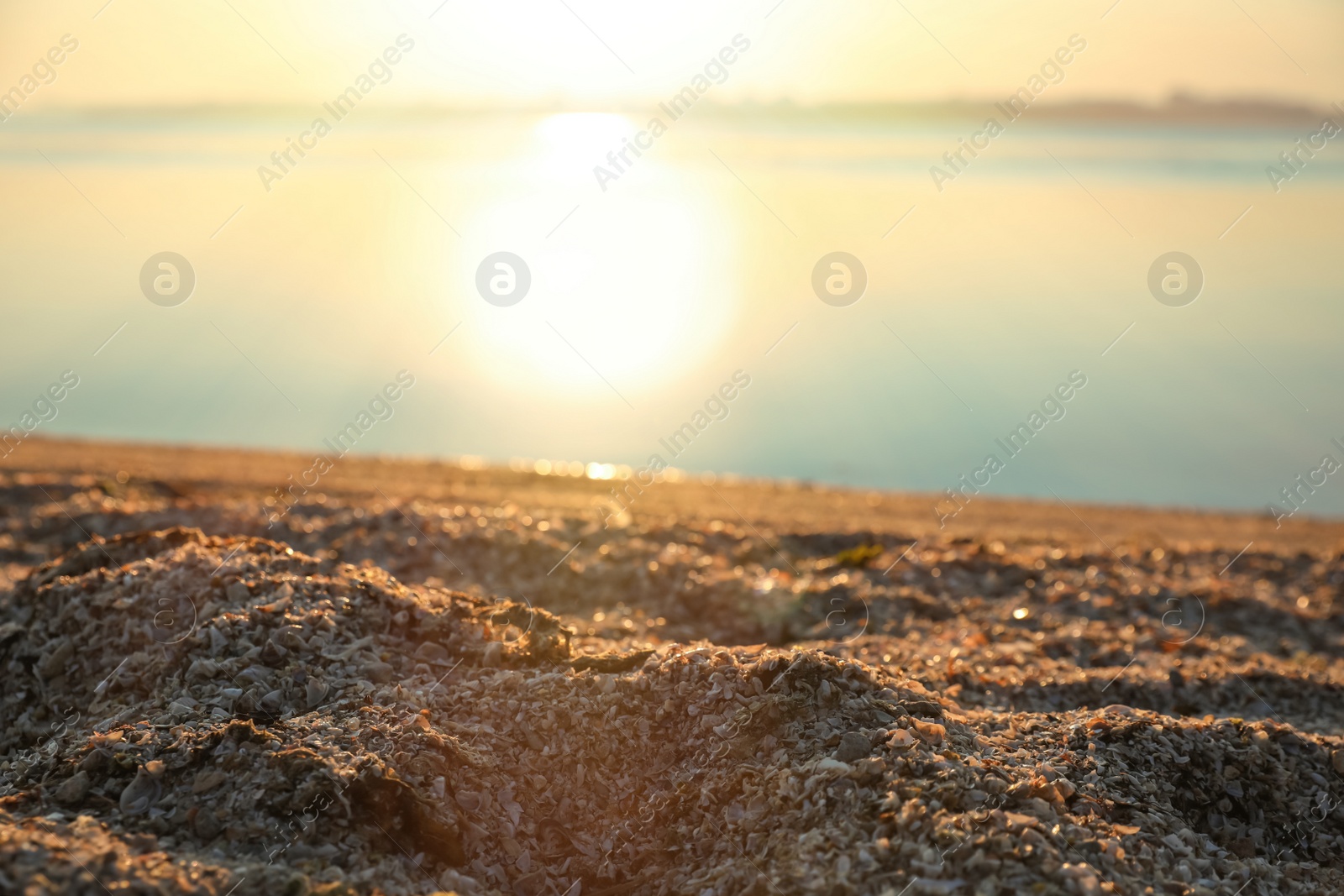 Photo of Beautiful view of riverside at sunrise. Early morning landscape