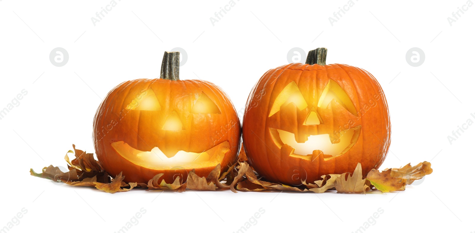 Photo of Cute pumpkin jack o'lanterns and autumn leaves on white background. Halloween decor