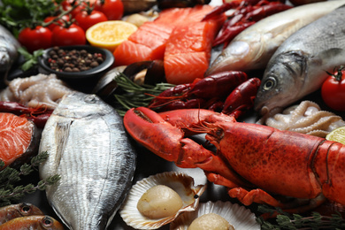 Photo of Fresh fish and different seafood on table, closeup