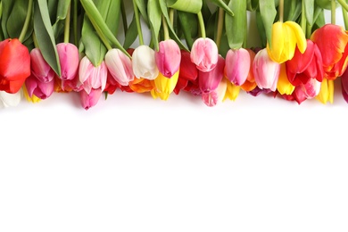 Photo of Beautiful bright tulips on white background, top view. Spring flowers