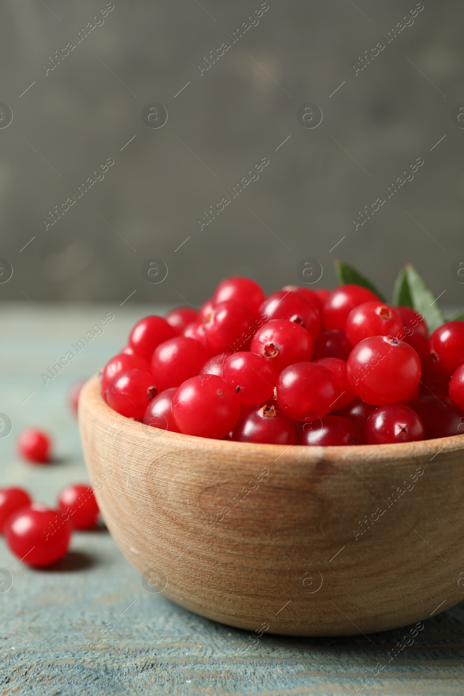 Photo of Tasty ripe cranberries on light blue wooden table, closeup