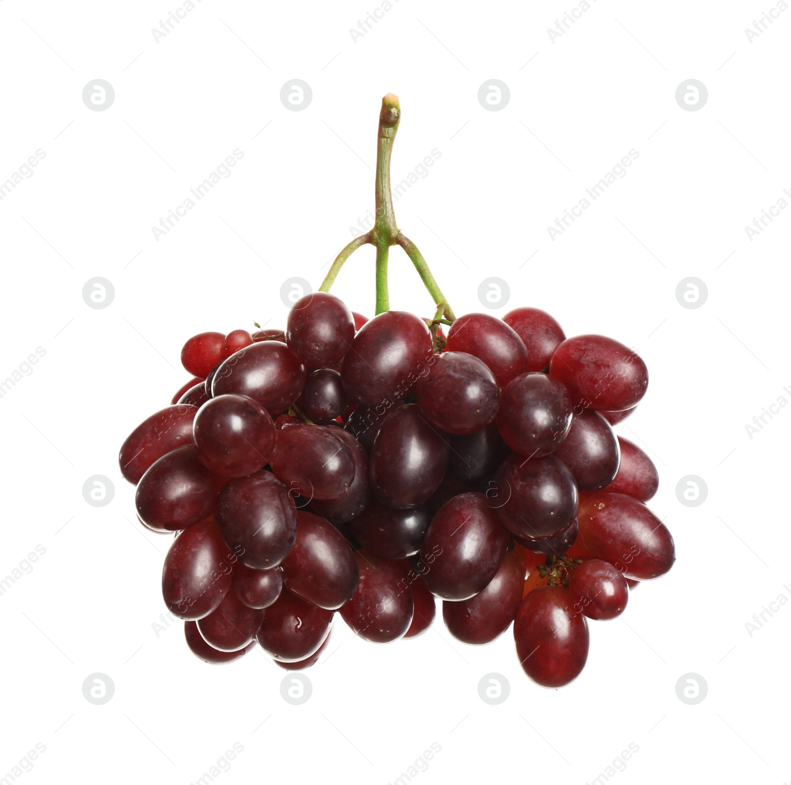 Photo of Bunch of fresh ripe juicy red grapes isolated on white