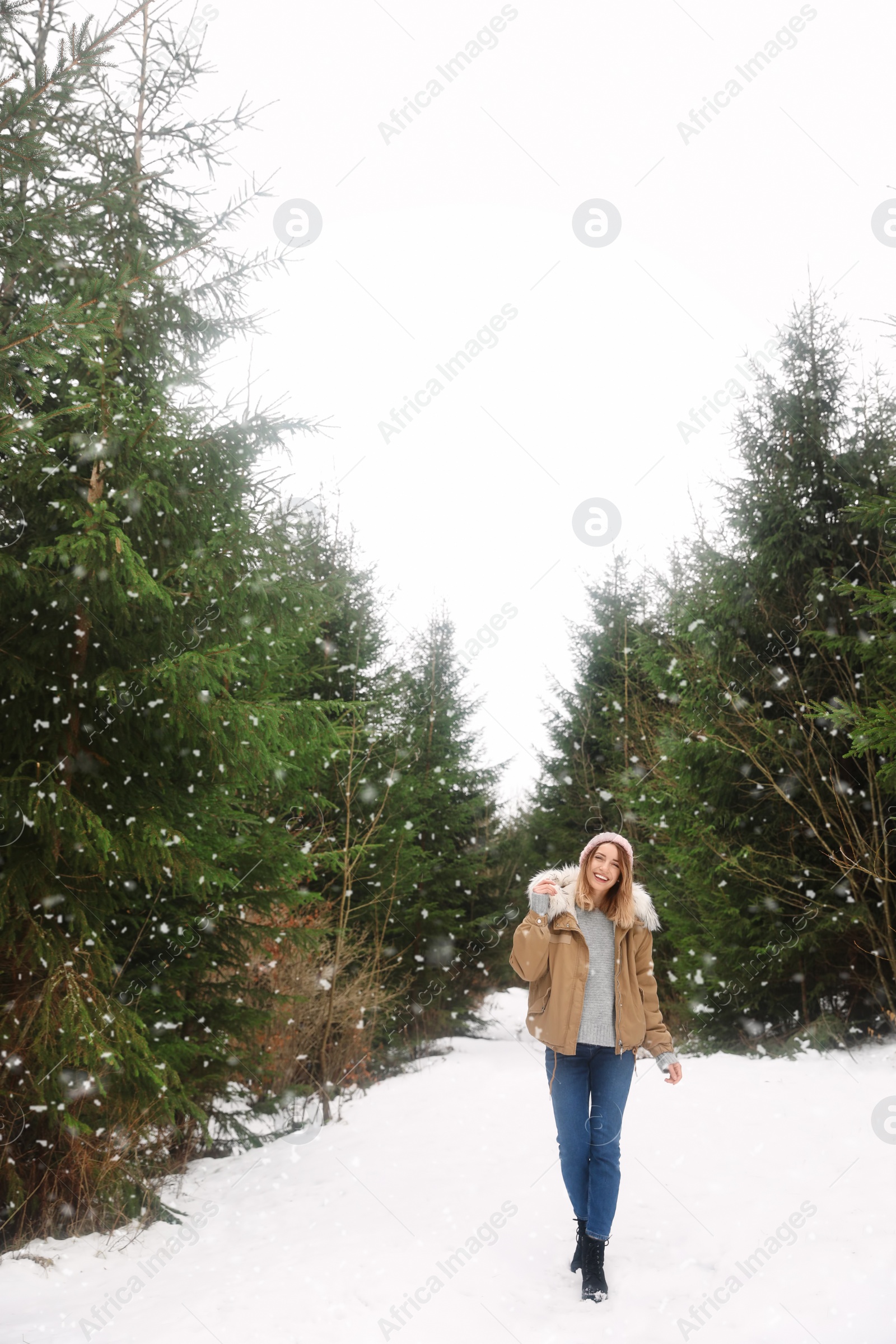 Photo of Young woman in snowy conifer forest. Winter vacation