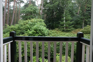 Photo of Beautiful forest with many different green plants, view from balcony