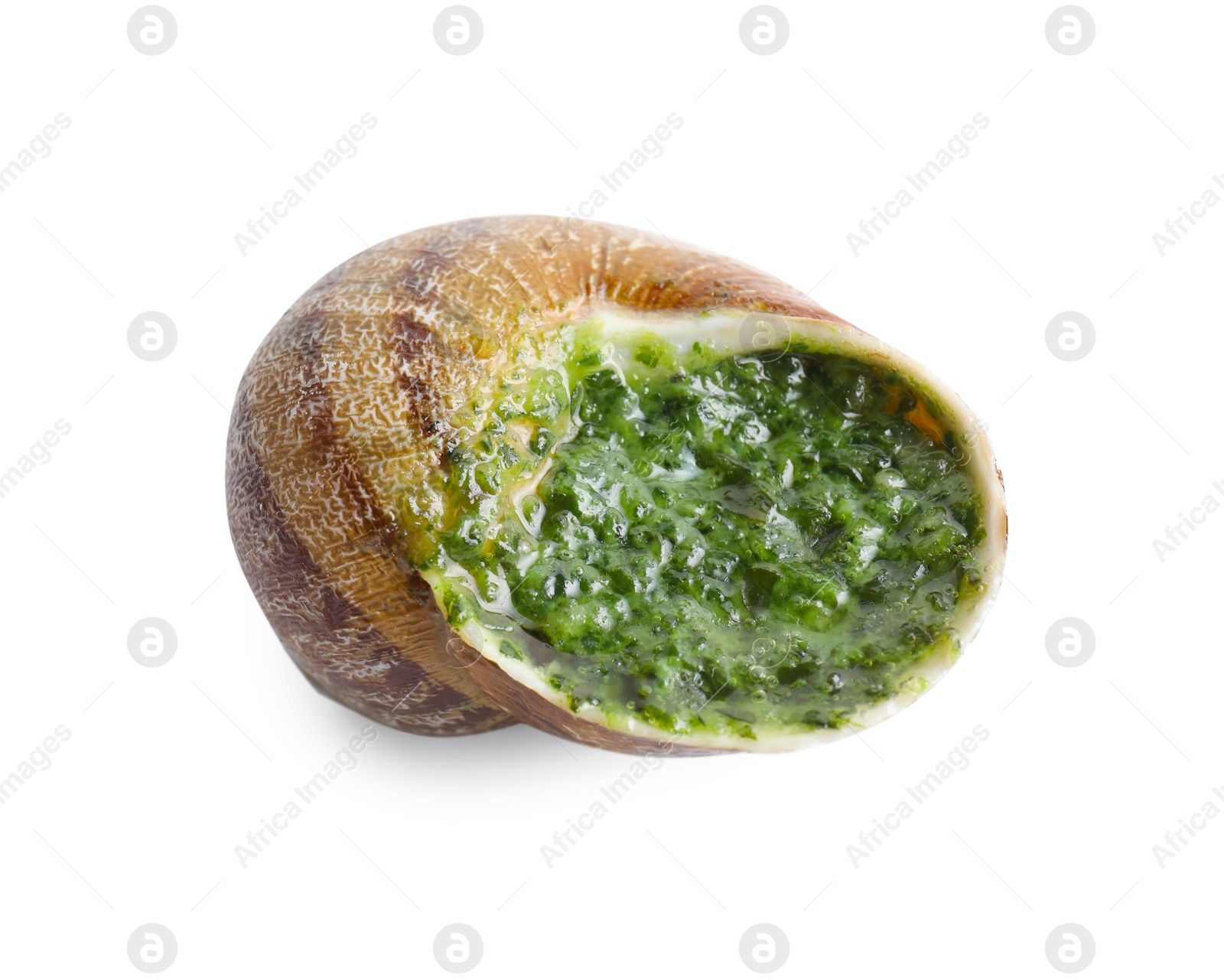 Photo of One delicious cooked snail isolated on white