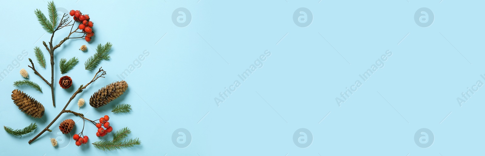 Image of Flat lay composition with pinecones on light blue background, space for text. Horizontal banner design