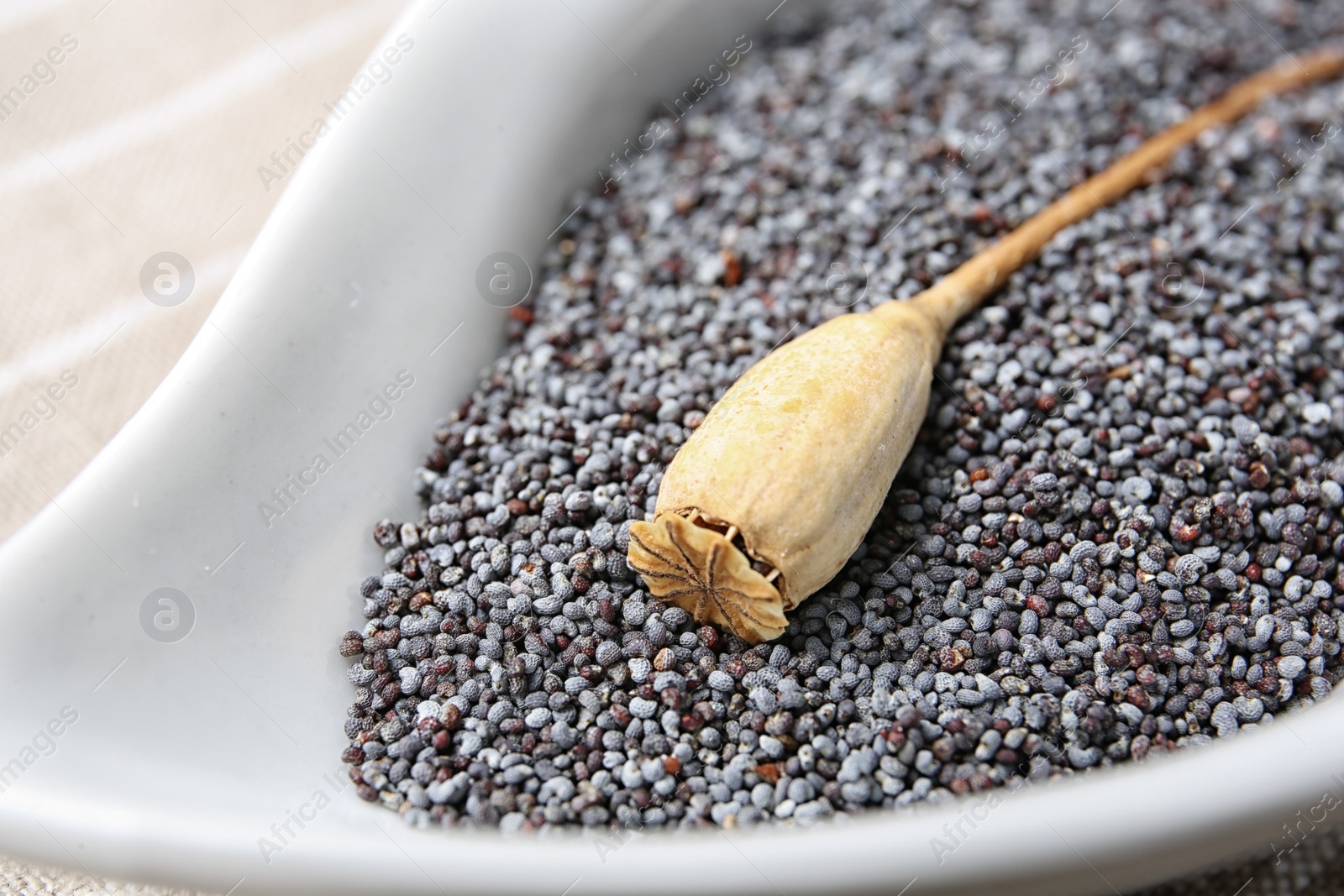 Photo of Plate with dry poppy head and seeds, closeup