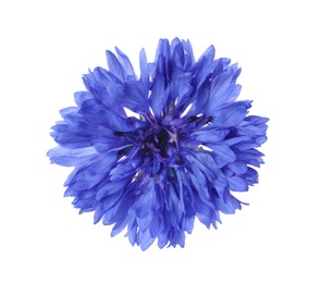 Beautiful blooming blue cornflower isolated on white, top view