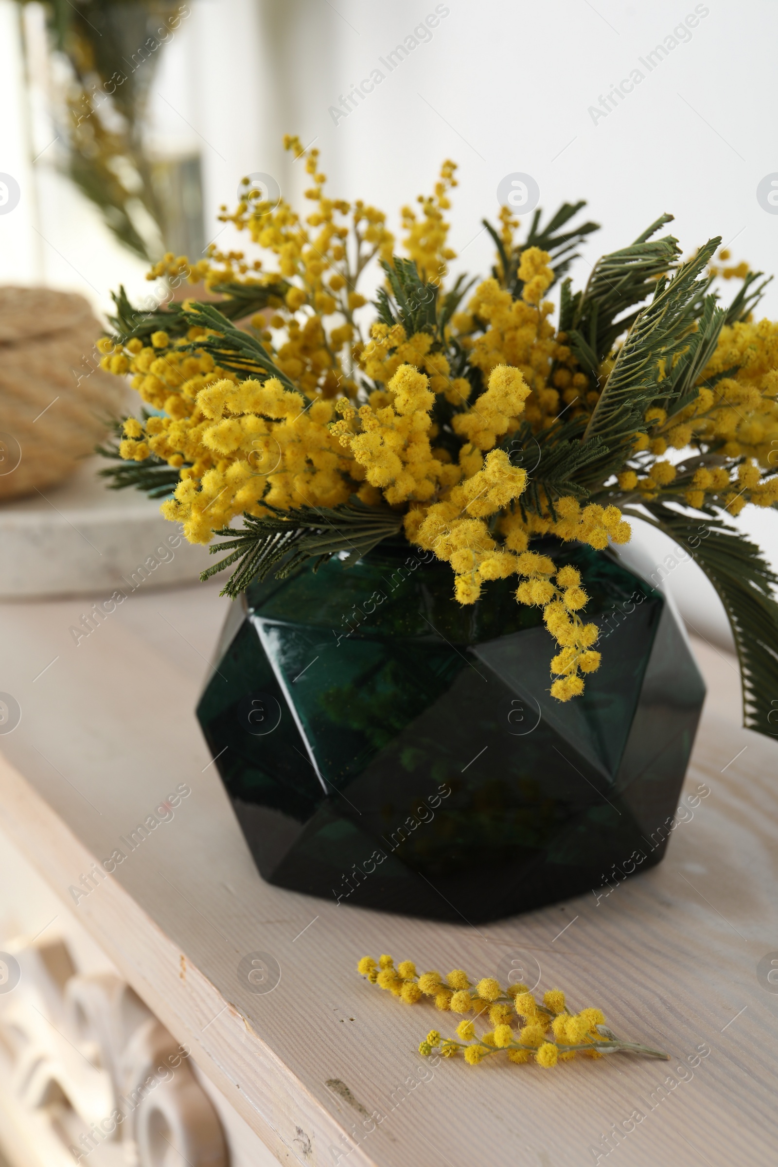 Photo of Beautiful mimosa flowers on chest of drawers indoors