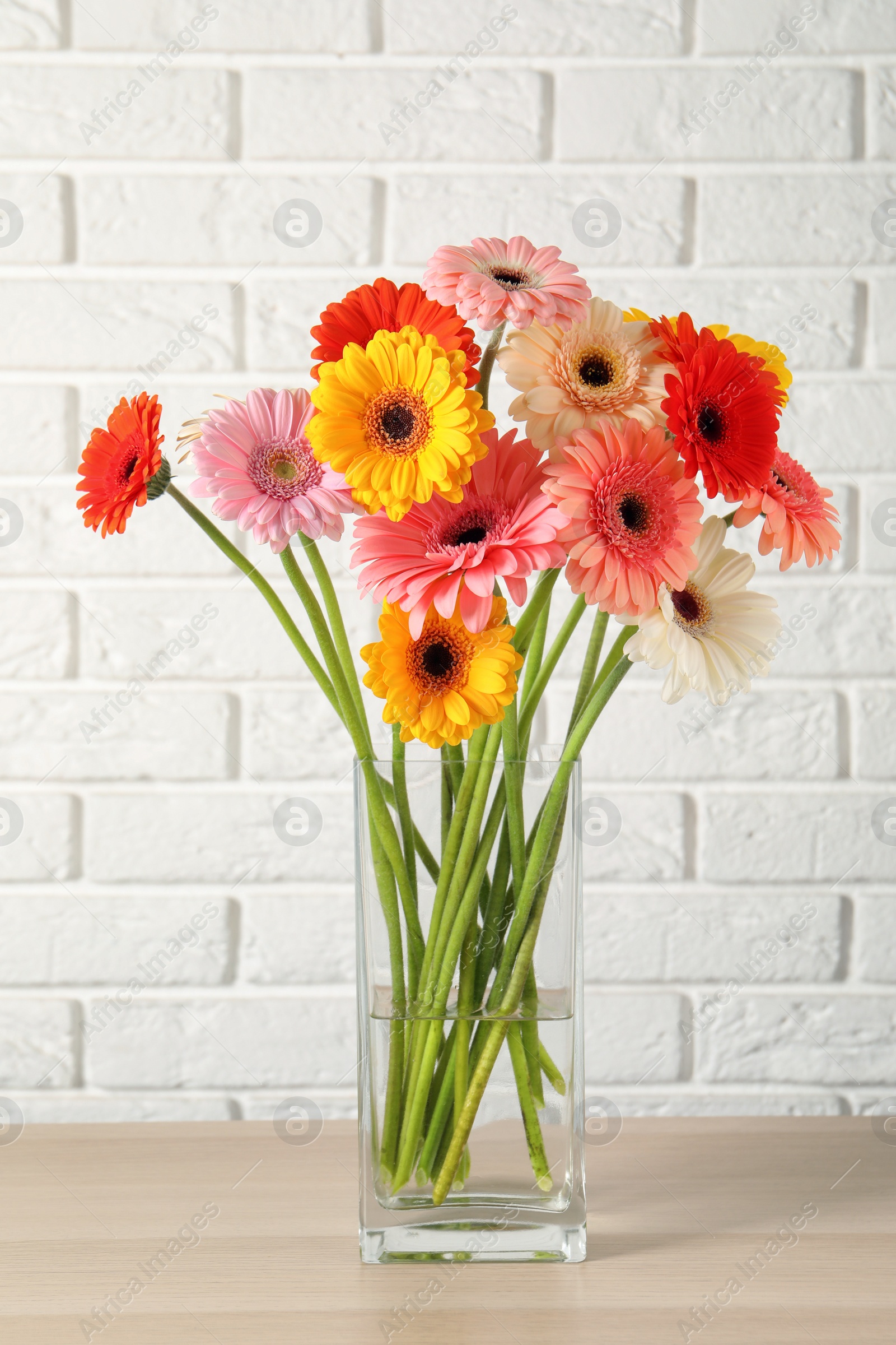 Photo of Bouquet of beautiful colorful gerbera flowers in vase on table against white brick wall