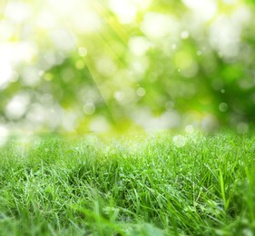 Image of Vibrant green grass outdoors on sunny day