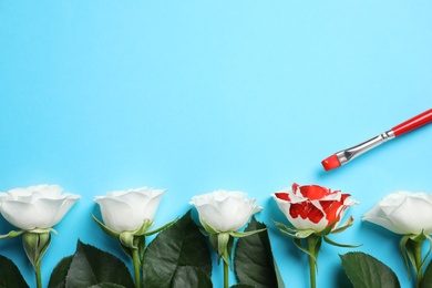 Photo of White roses and one painted red on light blue background, flat lay. Space for text