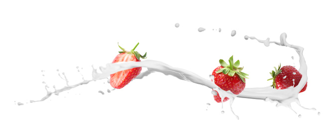 Fresh strawberries with milk splash on white background. Banner design