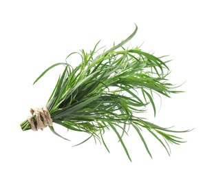 Bunch of fresh tarragon on white background