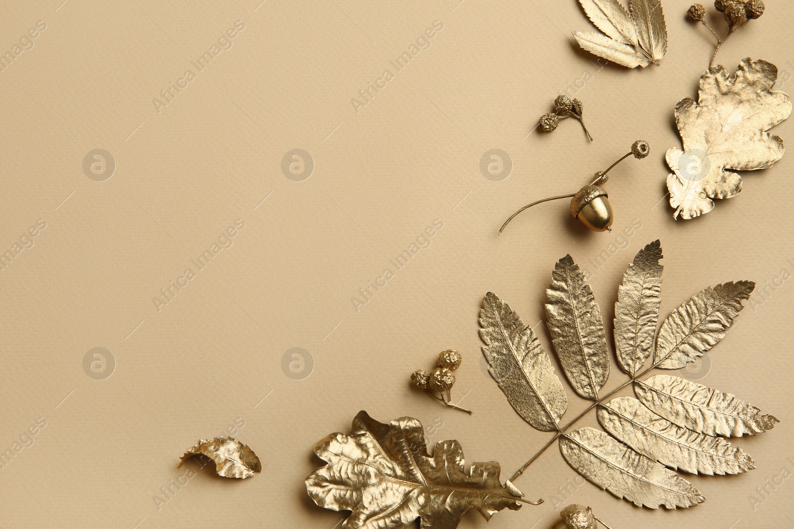 Photo of Beautiful golden leaves, berries and acorns on beige background, flat lay with space for text. Autumn decor