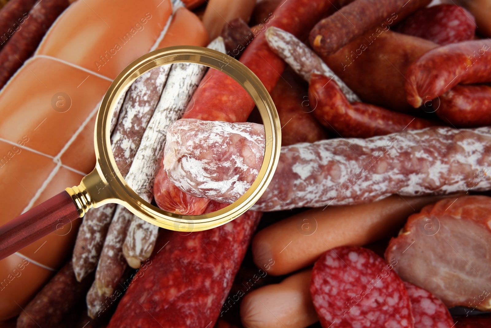 Image of Magnifying glass focusing on sausage. Food control 