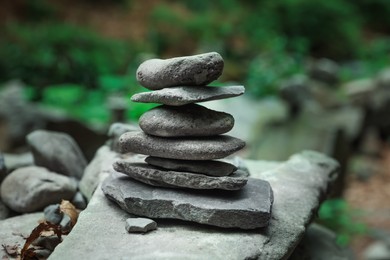 Photo of Many stacked stones near plants in forest