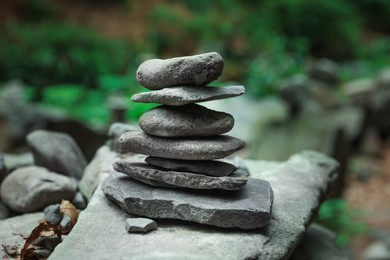 Many stacked stones near plants in forest