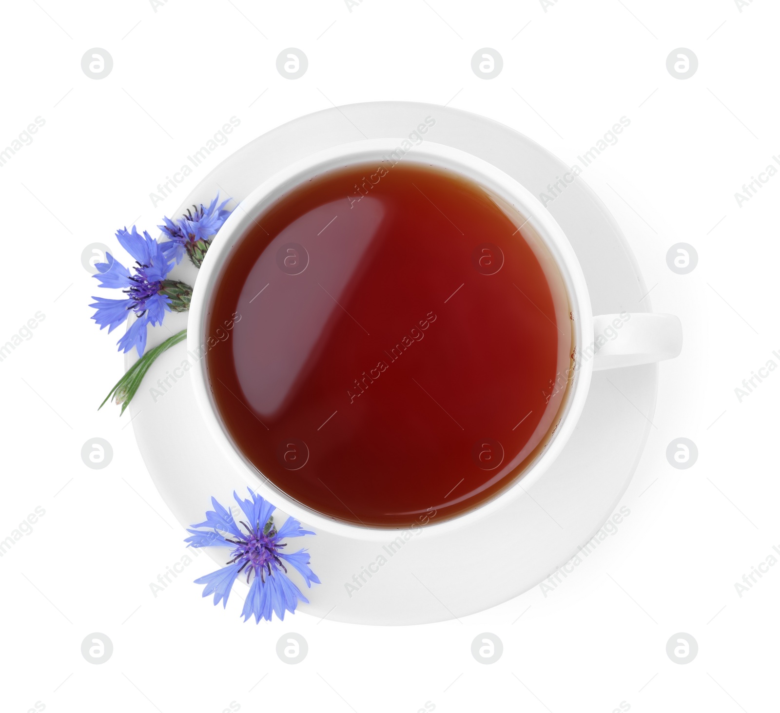 Photo of Cornflower tea and fresh flowers on white background, top view