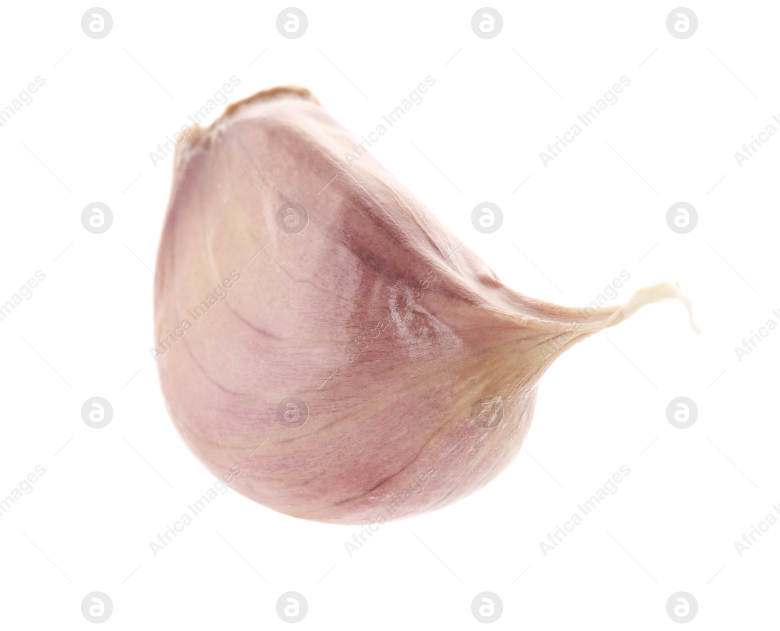 Photo of One unpeeled clove of garlic isolated on white