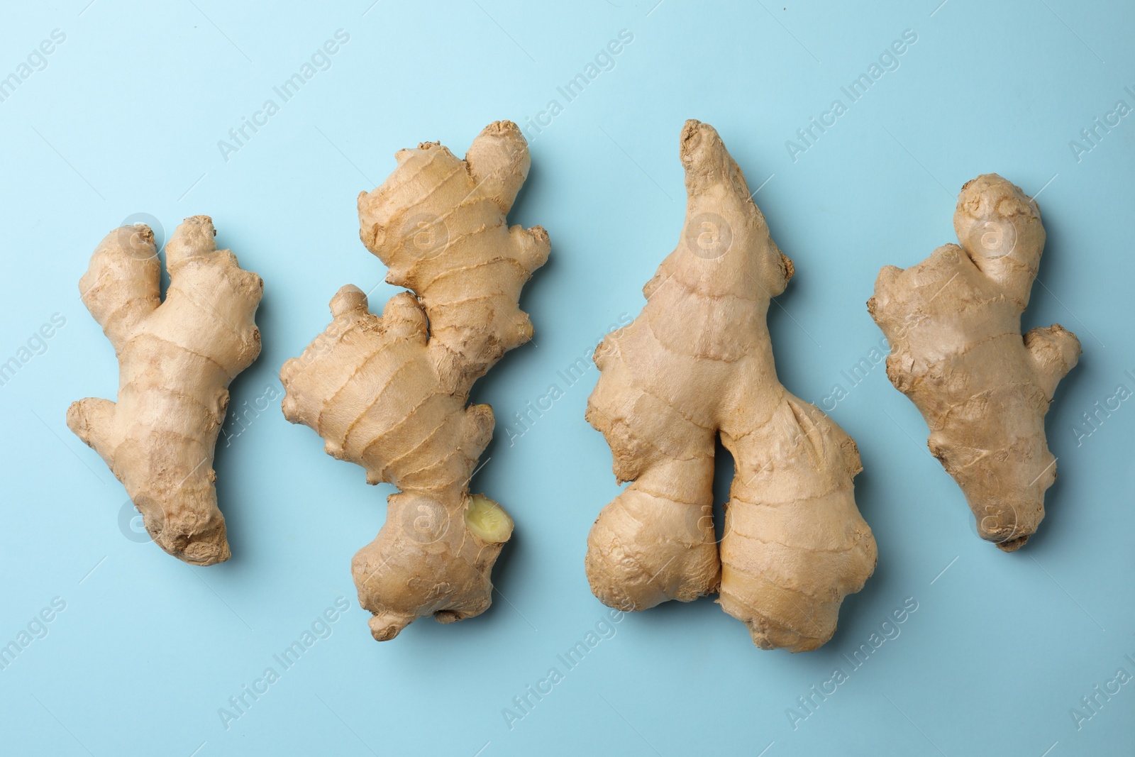 Photo of Fresh ginger on pale light blue background, flat lay