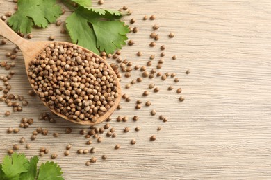 Photo of Spoon with dried coriander seeds and green leaves on wooden table, flat lay. Space for text