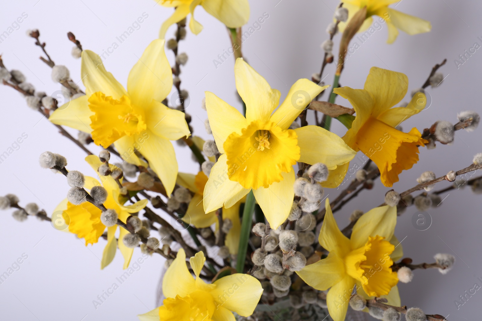 Photo of Bouquet of beautiful yellow daffodils and willow twigs in vase on white background, closeup