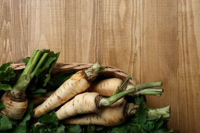 Photo of Tasty fresh ripe parsnips in wicker basket on wooden table, top view. Space for text