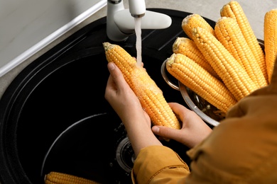 Photo of Woman washing corn cobs in sink, closeup