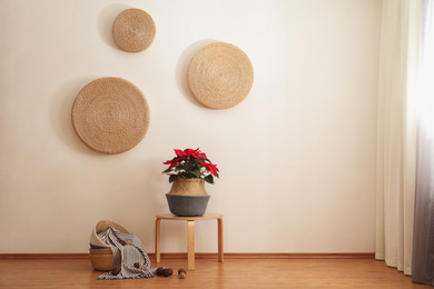 Photo of Beautiful poinsettia in wicker pot near white wall indoors. Interior design idea