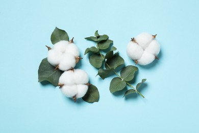 Photo of Cotton flowers and eucalyptus leaves on light blue background, flat lay