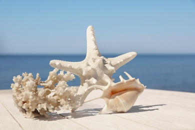 Photo of Beautiful starfish, coral and shell on wooden pier near sea, closeup